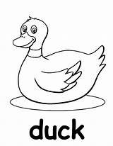 Duck Coloring Pages Baby Printable Mallard Unisex Print Rubber Color Ducks Getcolorings Alphabet Genuine Ages Worksheets Pi sketch template