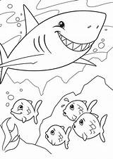 Shark Tulamama sketch template