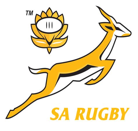 rugby sa refs match officials confirmed  springboks tests    african news agency ana