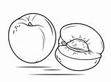 Nectarine Coloring Pages Section Cross Fruits Printable Drawing Sketch Categories sketch template