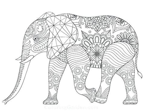printable elephant coloring pages  adults elephant coloring page
