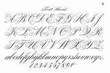 Fancy Styles Handwriting Cursive Alphabet Fonts Writing Letters Graffiti Script Write Calligraphy sketch template