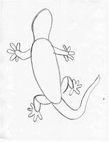 Lizard Drawing Gecko Draw Easy Small Drawings Eye Step Circles Them Head Tail Paintingvalley Samanthasbell Eyes sketch template