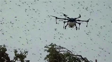 killer drones eradicate locust swarms  india video