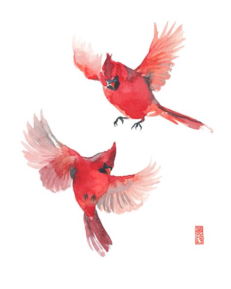 flying cardinal drawing  getdrawings