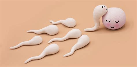 do men need sperm health supplements