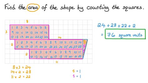 question video calculating  area   shape  counting square
