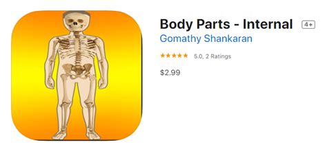 body parts internal  digital school