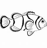 Fish Clown Coloring Pages Sea Animal Drawing Saltwater Colouring Color Printable Print Realistic Getcolorings Getdrawings Kids sketch template