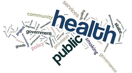 government   responsible  public health gagan thapa