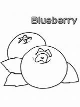 Blueberries Printable sketch template