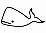 Walvis Ballena Wal Whale Malvorlage Balena Walvissen Baleine Kleurplaten Schoolplaten Ausmalbild Printen Afkomstig Educima Schulbilder Große Téléchargez sketch template