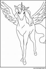 Pegasus Ausmalen Pferde Einhorn Kostenlose Ausmalbild Pferd Unicorn Zeichnen Malvorlage Schultüte Basteln Besuchen sketch template