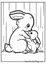 Rabbit Coloring Pages Sweet Original sketch template