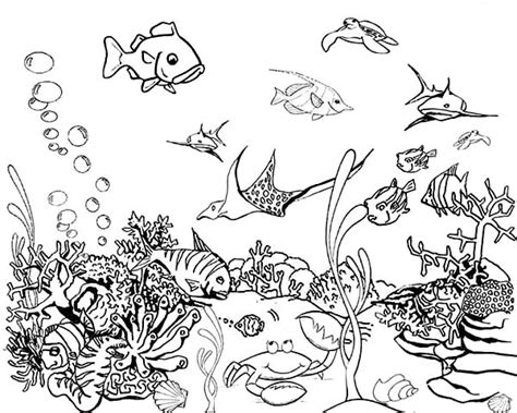 tropical fish tank coloring page netart