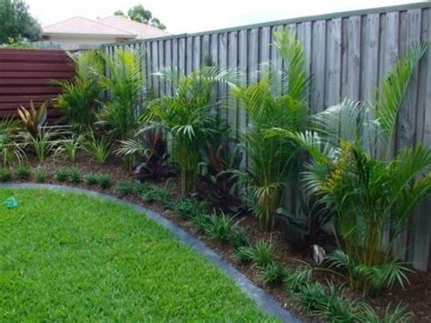 easy  cheap backyard privacy fence design ideas roundecor backyard plants backyard