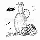 Oil Cooking Bottle Vector Corn Drawing Template Hand Coloring Pitcher Getdrawings Water Drawn Label Sketch Glass Illustration Natural sketch template