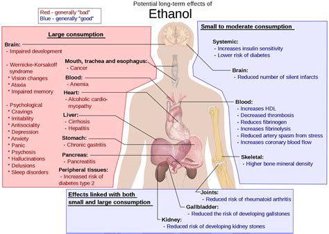 long term effects of alcohol consumption wikipedia