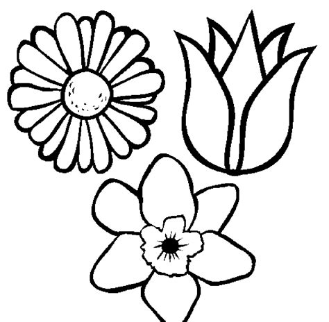 coloring pages flower pot coloring page printable kids colouring pages