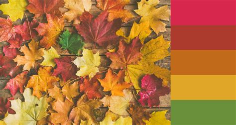 fall color palettes       designs pixlr blog