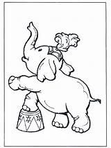 Elephant Circus Coloring Pages Funnycoloring Annonse Animals Zoo Advertisement sketch template