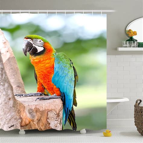 amazoncom unique cute parrot birds  zebra polyester waterproof shower curtain bathroom