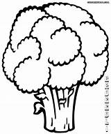 Broccoli Coloring Pages Colorings Print Coloringway sketch template