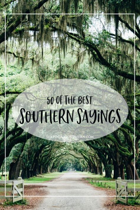 50 of the best southern sayings in 2020 with images