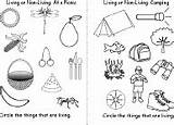 Living Things Enchantedlearning Camping Circle General Books sketch template