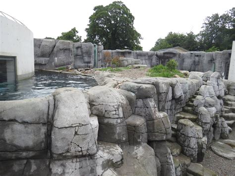 polar bear enclosure june  zoochat