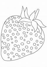 Strawberry Coloring Pages Strawberries Fruit Kids Fruits Color Clipart Sheets Worksheets Handwriting Practice Drawing Printable Ripe Books Obst Big Hungry sketch template
