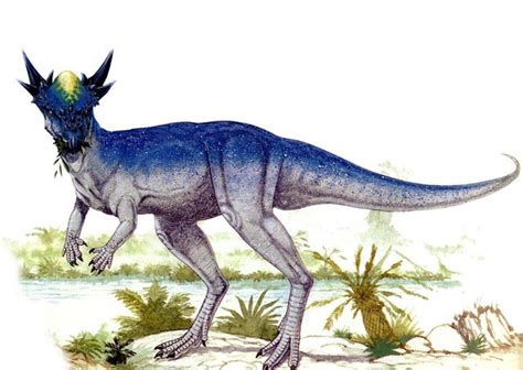 Stygimoloch Pictures And Facts The Dinosaur Database