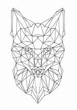 Fox Face Drawing Geometric Line Tumblr Drawings Animal Unfinished Poly Animals Head Coloring Simple Deer Tattoo Google Lines Dessin Guardado sketch template