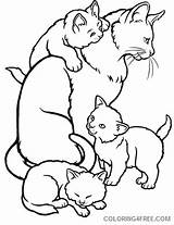 Cat Coloring Kittens Pages Mother Kitten Kids Drawing Clipart Family Colouring Printable Mommy Animal Sheets Color Cats Realistic Print Clip sketch template
