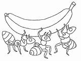 Carregando Formigas Colorir Tudodesenhos Ant sketch template