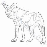 Wild African Dog Coloring Pages Click sketch template