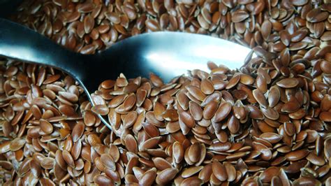 flaxseeds top  reasons  include    diet onedaycart