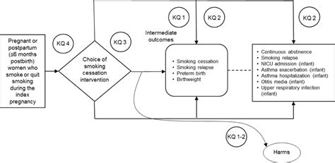 smoking cessation interventions during pregnancy and the postpartum