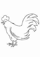 Huhn Bauernhof Ausmalen Ausmalbild Hahn Malvorlagen Ostern Schablone Grosse sketch template