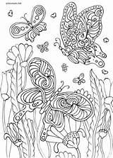 Butterflies Animals Birds Flowers Coloring Printable Pages Favoreads Adult sketch template