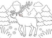 deers coloring pages  coloring pages