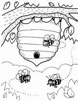 Bienen Bijen Ausmalbilder Malvorlagen Dieren Bijenkorf Bees Abejas Kinder Honig Abeille Printable Biene Colouring Faire Bumblebee Malvorlage Käfer Jandigitaal Tiere sketch template