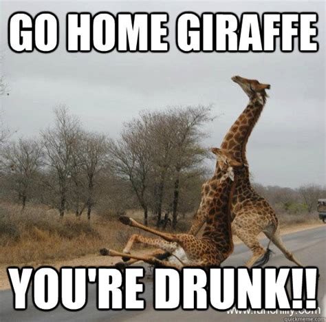 go home giraffe you re drunk graf quickmeme