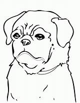 Coloring Pages Dog Beagle Pug Printable Minecraft Color Cool Print Christmas Dogs Getdrawings Draw Popular Kids Puppies Getcolorings Coloringhome Drawing sketch template