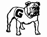 Georgia Bulldogs Bulldog Getcolorings Col sketch template