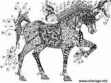 Zentangle Horse Cheval Freimann Jani Circus sketch template