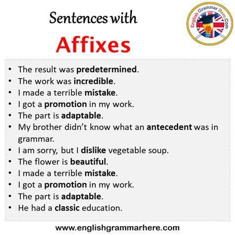 sentences  affixes affixes   sentence  english sentences