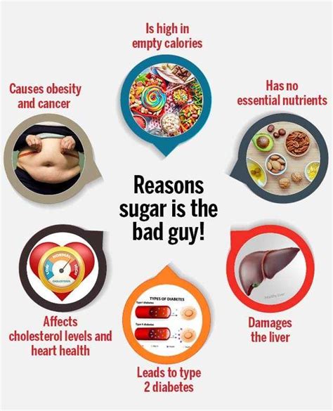 All You Need To Know About Sugar