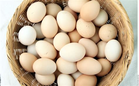 cual es la diferencia entre los huevos organicos  de libre pastoreo