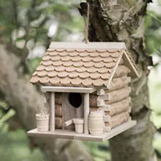 amazoncouk bird houses  garden garden outdoors bird houses ideas diy unique bird